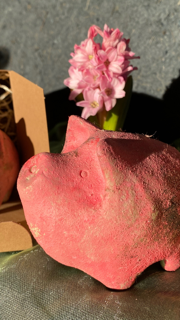 Glücksschwein Pippa